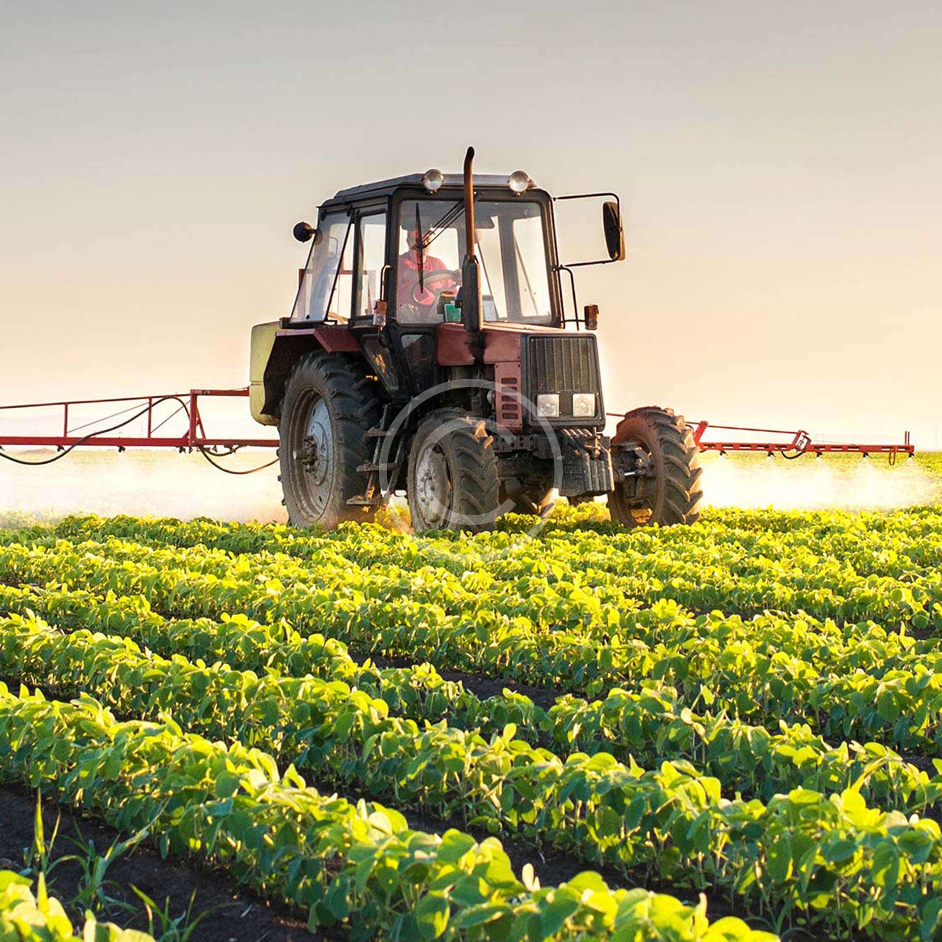 Production & Processing